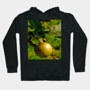 hanging apple Hoodie